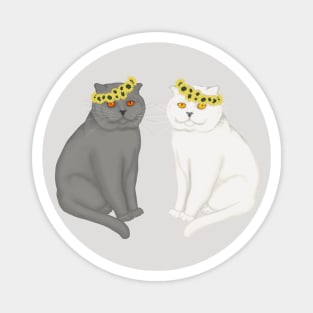 Two cats in the wreaths on the head from sunflowers. Grey and white cats. Magnet